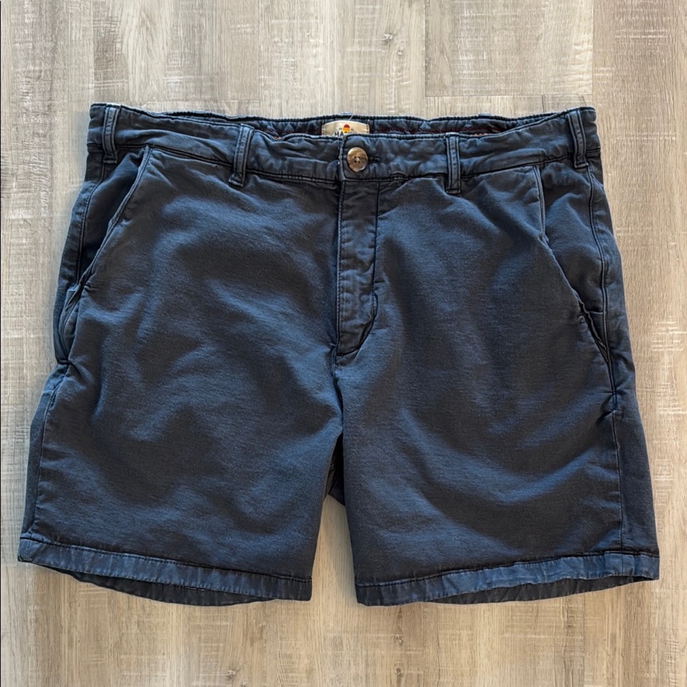 Marine Layer Blue Flat Front Shorts